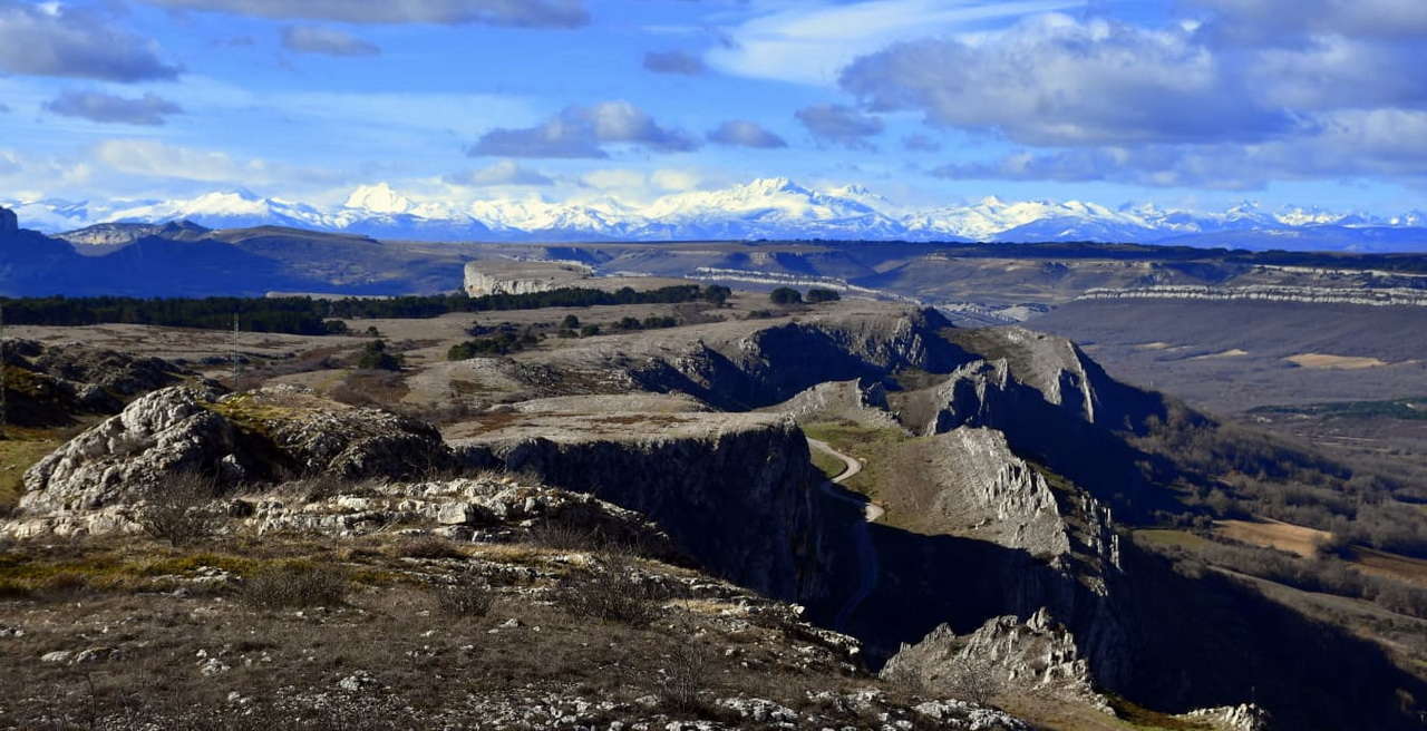 WhatsApp Image 2026-02-09 at 20.29.03 (2)